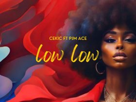 CEKIC Low Low Artwork