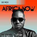 DJ Joenel Africa Now DJ Mix