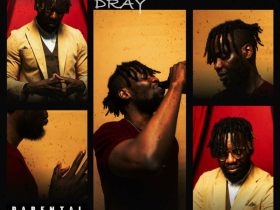 DRAY Options