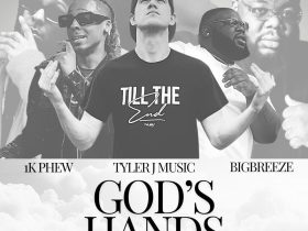 God's hands Artwork