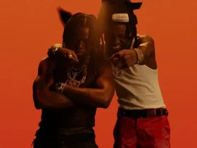 Rema-Shallipopi