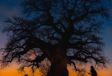 UNDER BAOBAB