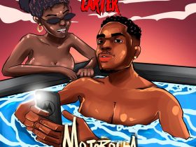 obm carter x 1705 wayv - Motorolla