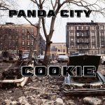 Panda City - Cookie