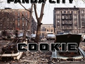 Panda City - Cookie