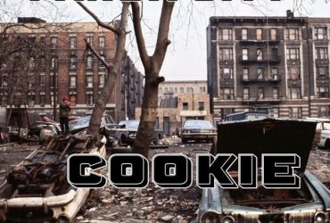 Panda City - Cookie