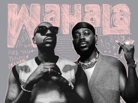 Wahala Artwork