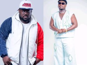 Ayesem and Bobo Dada Bee