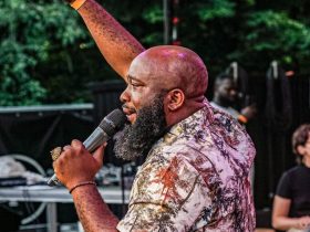 Trigmatic at The Hague African Festival