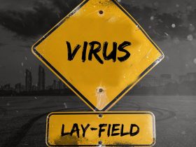 Lay-field - Virus