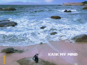 T Sleek - Ease My Mind