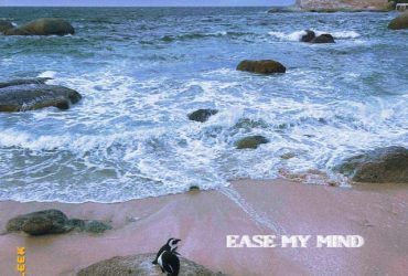 T Sleek - Ease My Mind