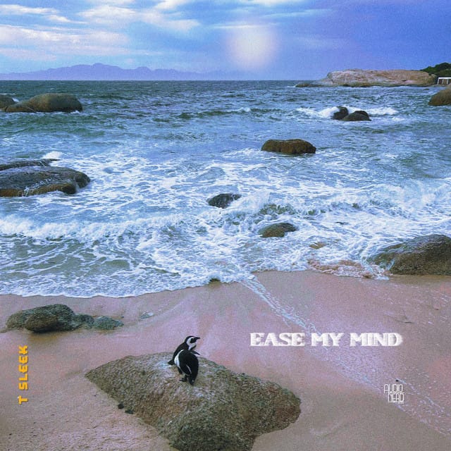 T Sleek - Ease My Mind