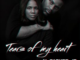 Tears Of My Heart Artwork