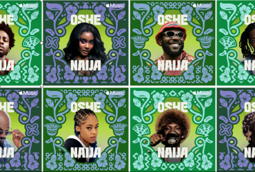 Oshe Naija