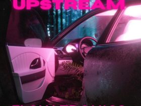 Flow-tronics - Upstream
