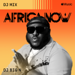 DJ Big N Africa Now DJ Mix