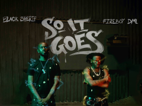 So It Goes Artwork