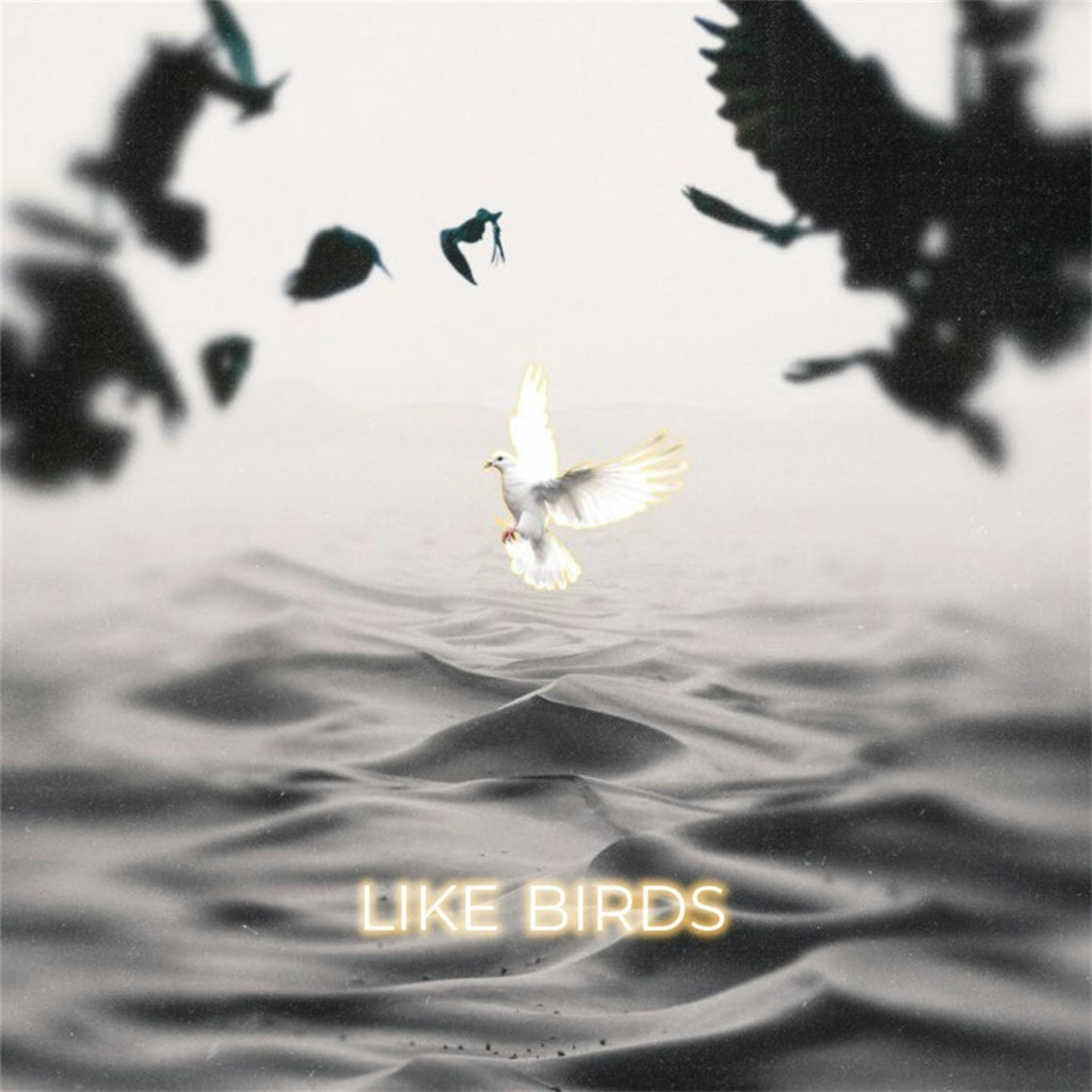 Las Vegas Artist MIA Jai Rian Unleashes "Like Birds," A Gritty Battle Cry of Faith and Resilience MIA Jai Rian Like Birds Art