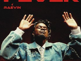 Raevin Fever Art