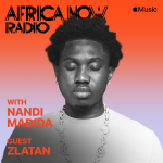 Zlatan Africa Now