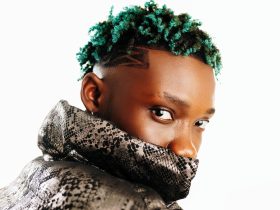 Olivetheboy
