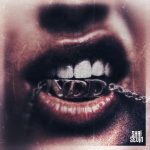 SHAI SEVIN - NDD