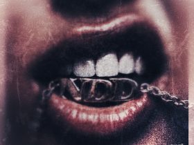 SHAI SEVIN - NDD