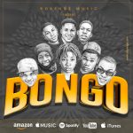 Bongo Artwork