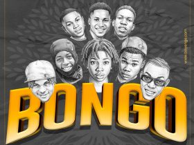 Bongo Artwork