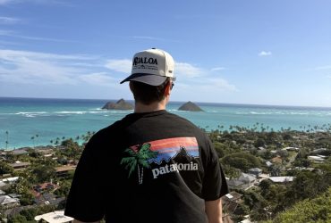 Palm Monkey