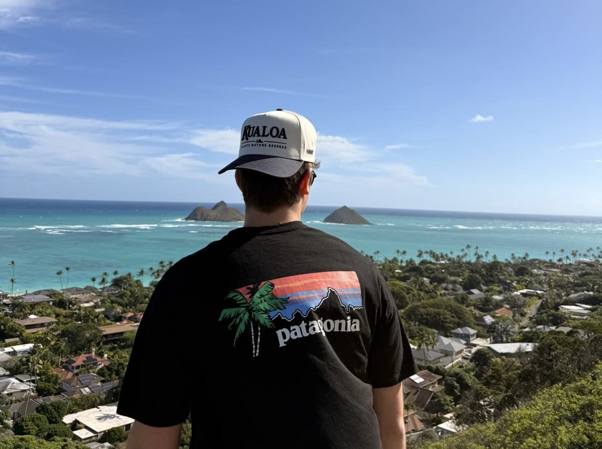 Palm Monkey