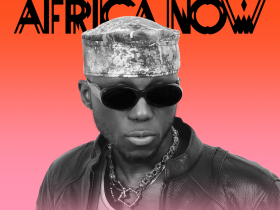 SPINALL Africa Now
