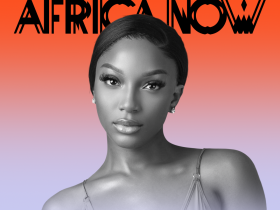 SALT THE DJ Africa Now